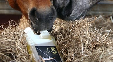 Supplementen voor paard