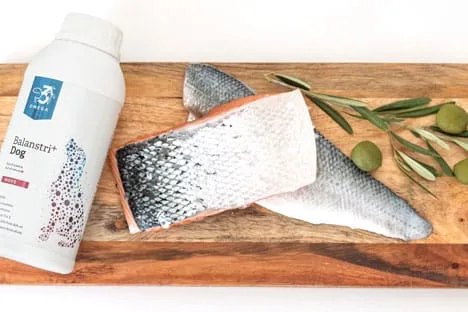 Balanstri Move olijf vis omega-3