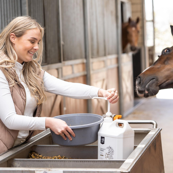 Visolie voor paarden