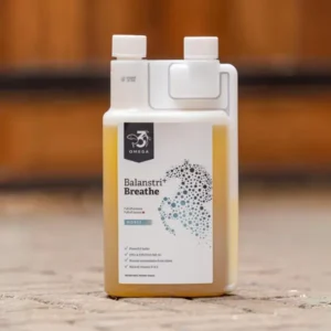 Balanstri Horse luchtwegen