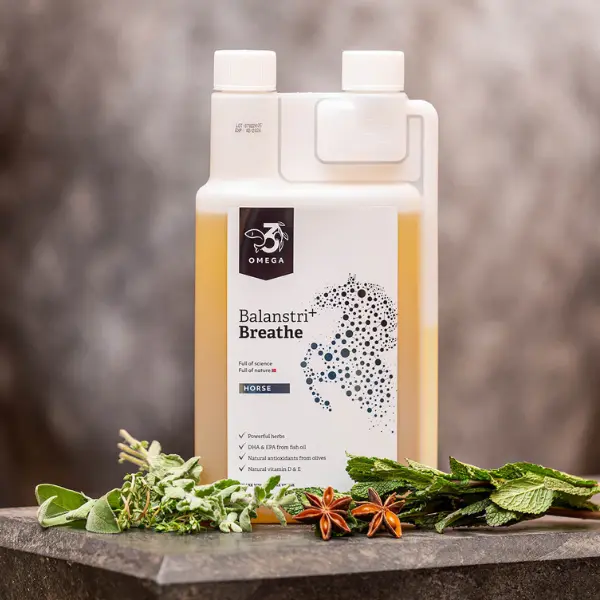 Balanstri Horse luchtwegen