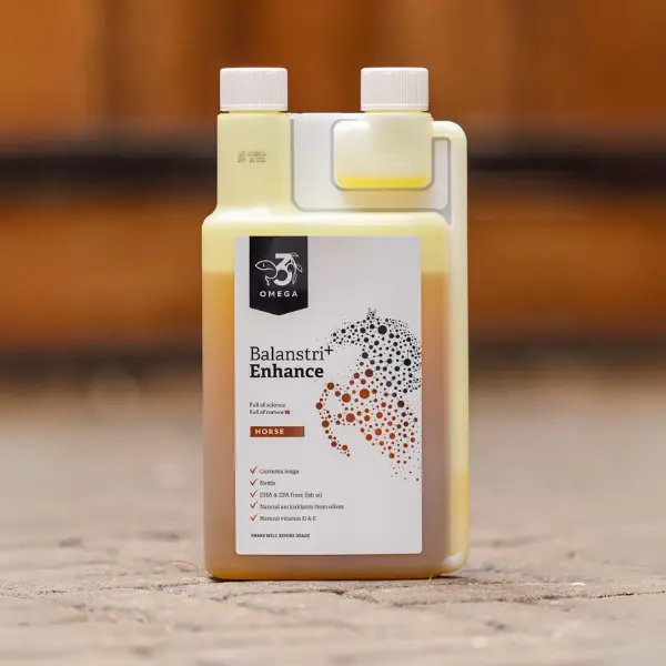 kurkuma paard Enhance