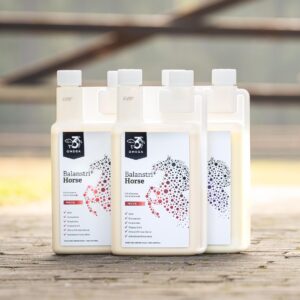 Balanstri Horse Move glucosamine